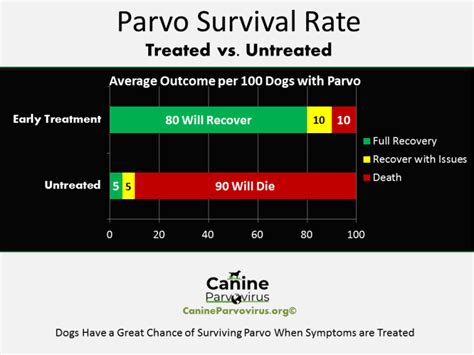 chances of surviving parvo|Survival Rate .